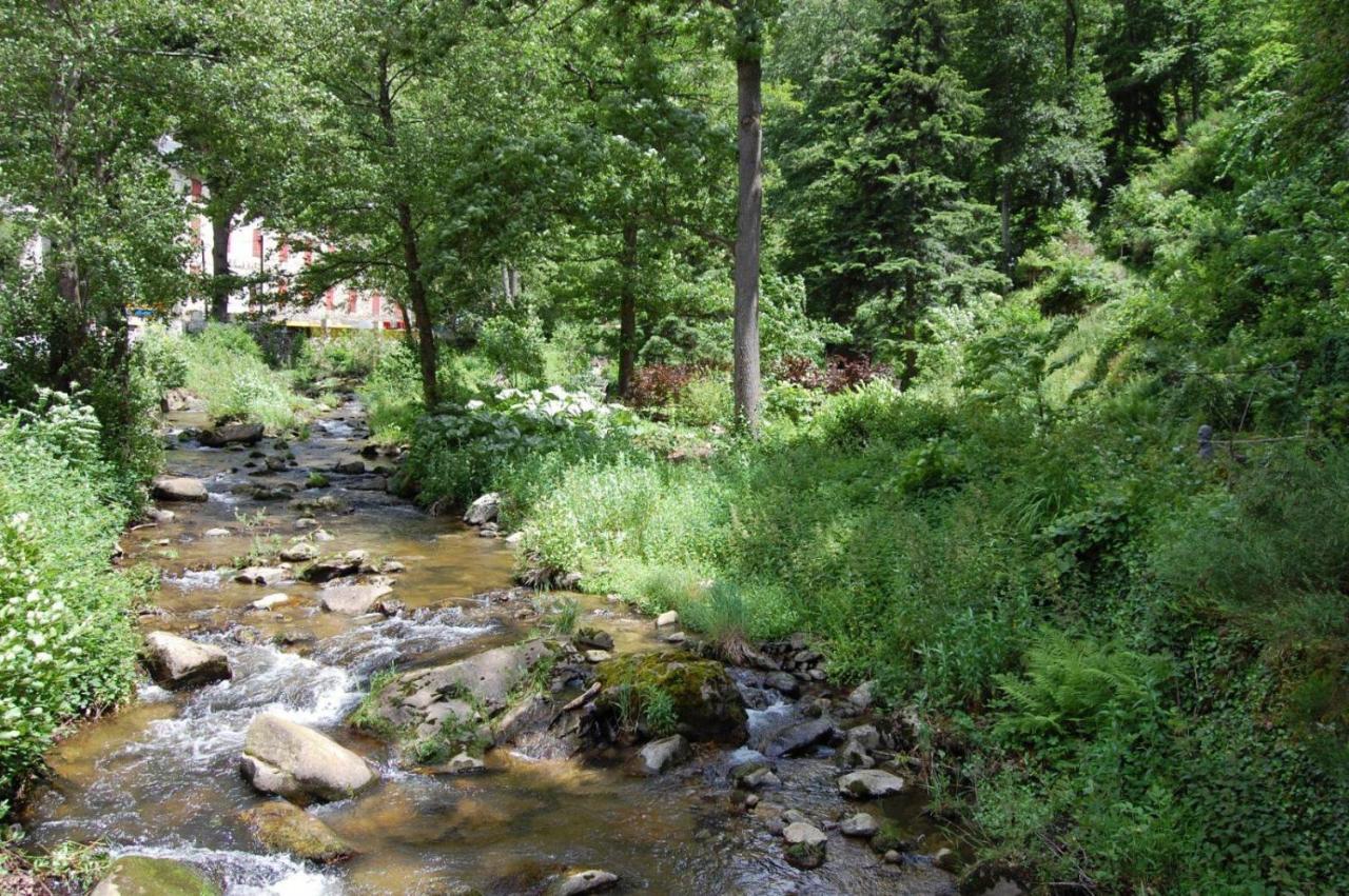 Notre-Dame D'Escouloubre Sources D'Eaux Chaudes Privees Et Sauna Exterior foto